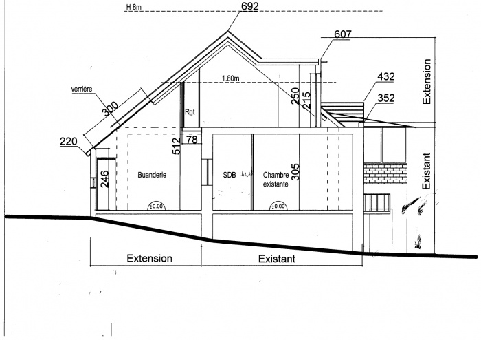 Extension et Surélévation : Coupe